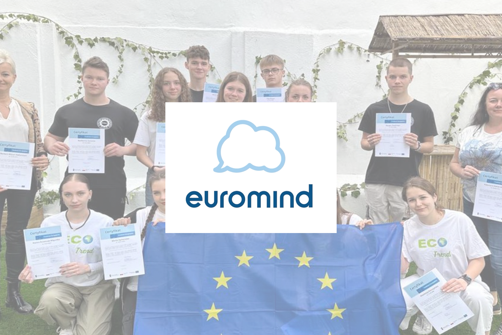 Euromind Project – Marketing Plan